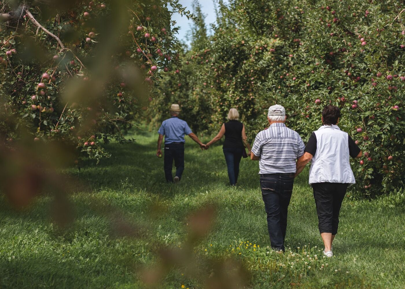 Quoi faire dans le Haut-Richelieu